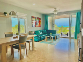 Extra spacious oceanview condo 5 min from pristine beach